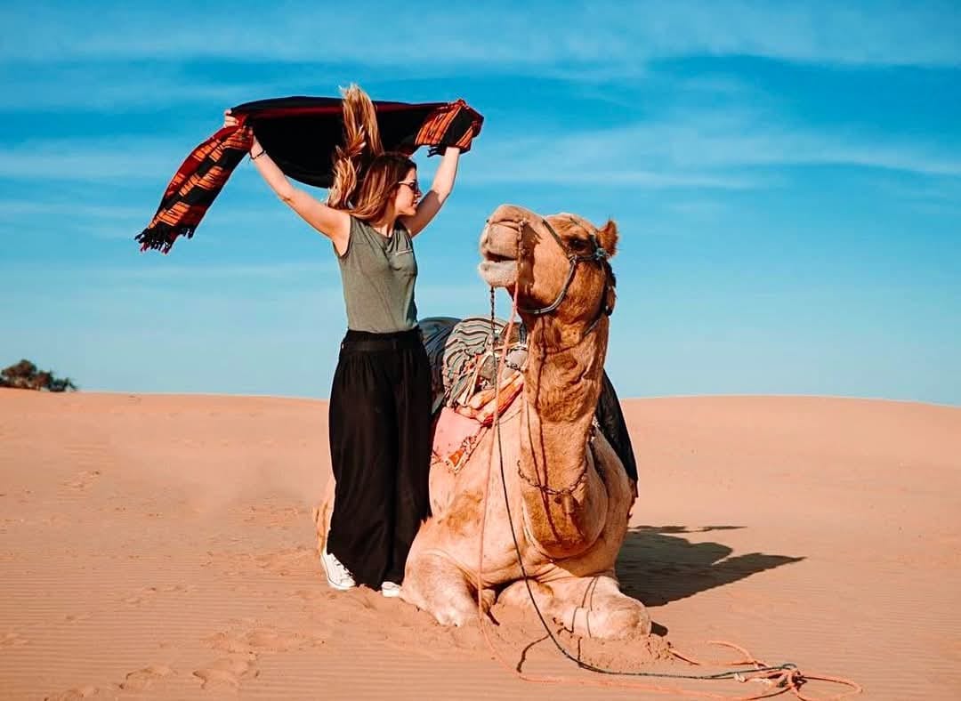 whatsapp image 2026 02 06 at 18.56.16